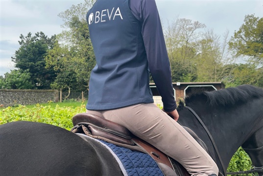BEVA launches Back in the Saddle coaching for vets