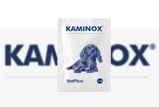 VetPlus launches powdered potassium supplement for cats and dogs