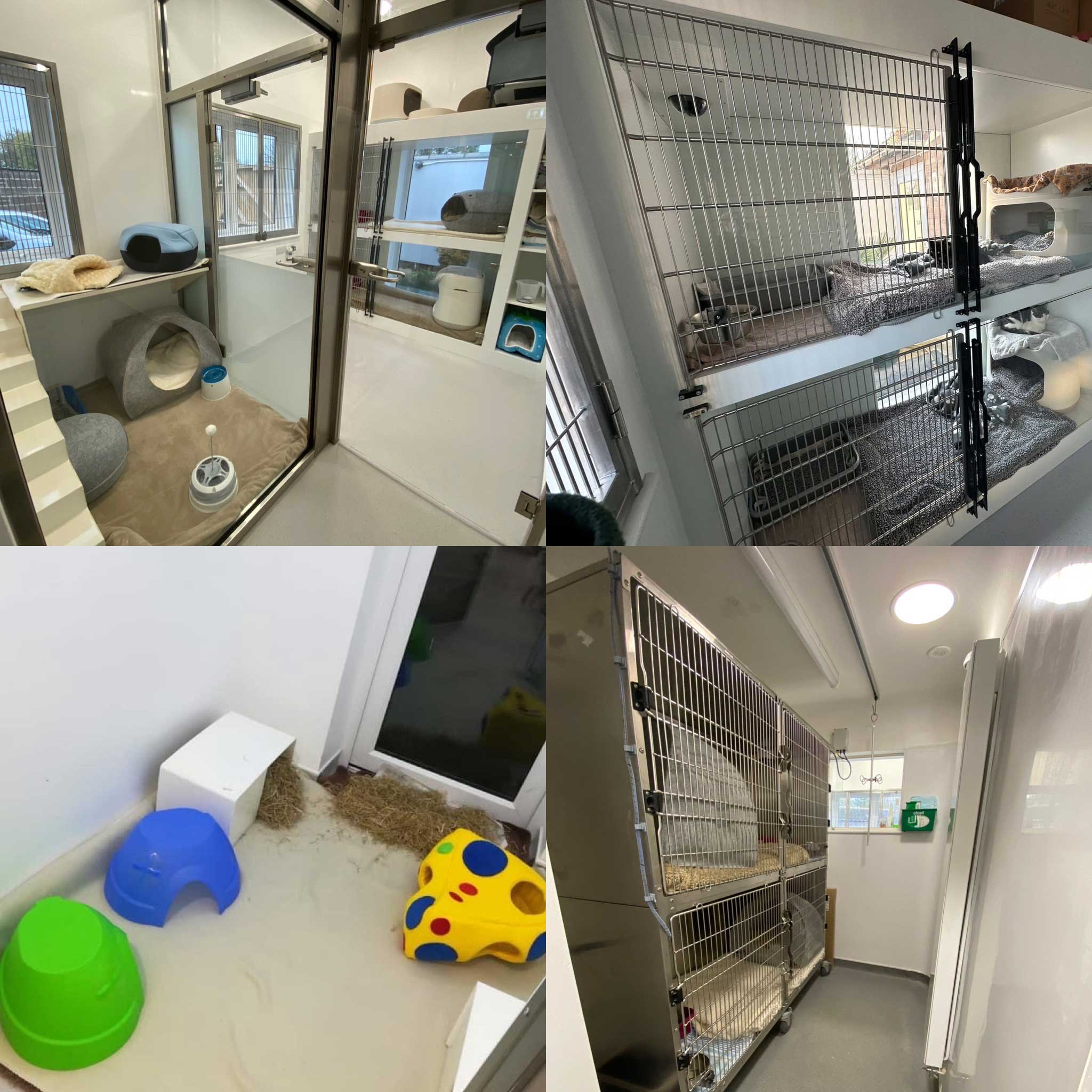 Job Small Animal Vet. Polden Hills Veterinary Centre, Bridgwater Jobs