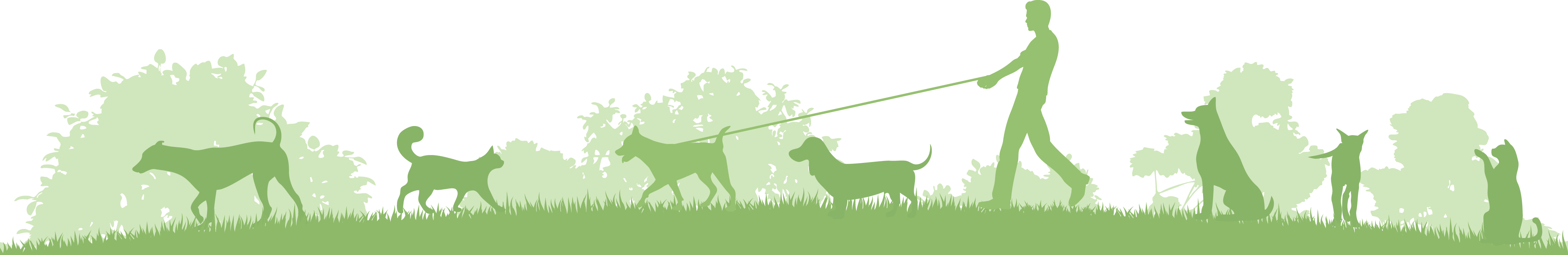 Job Small Animal Vet Wolverhampton St Vets