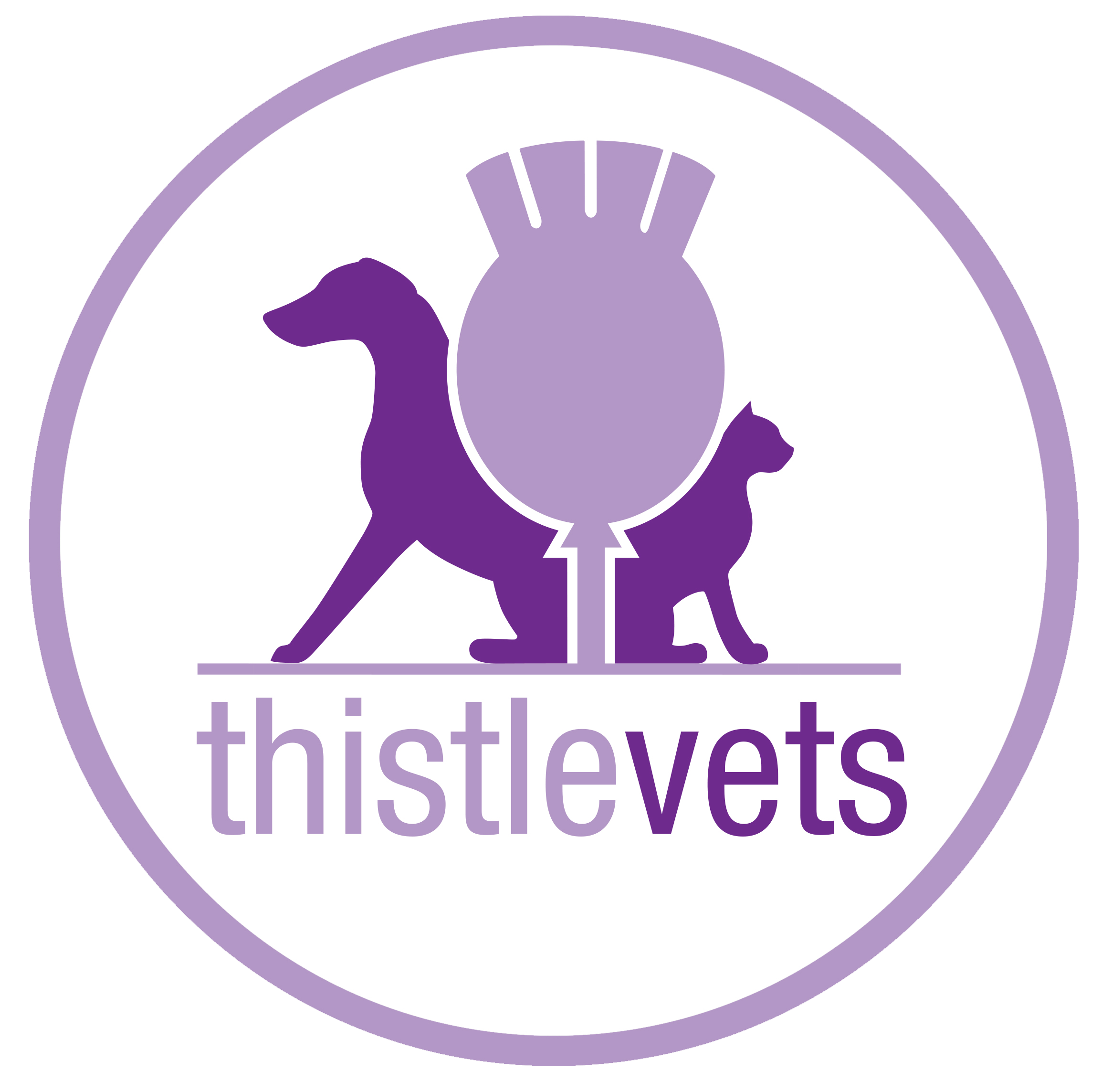 Job: Small Animal Vet. Thistle Vets, Scotland - Jobs - Job: Small Animal Vet. Thistle Vets, Scotland - Jobs -