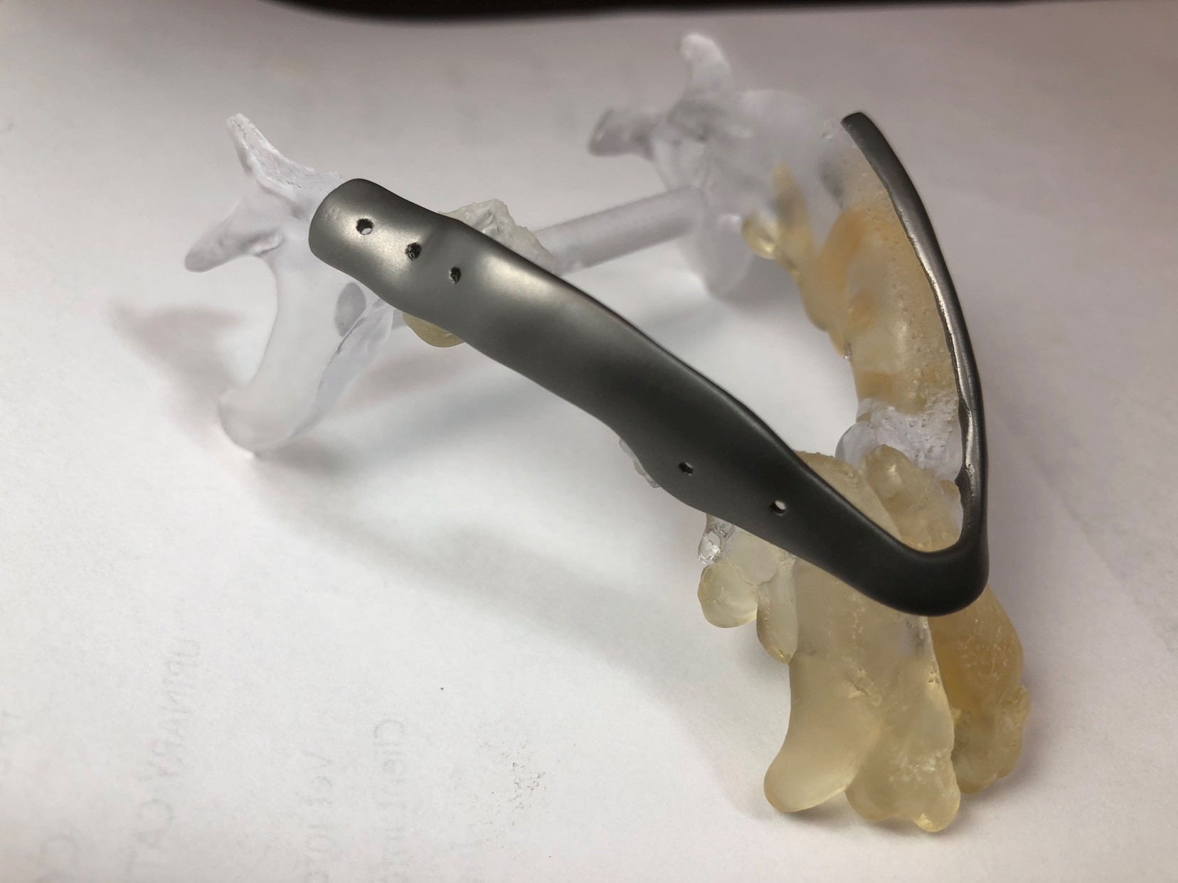 Partial 3D Jaw Replacement Procedure Carried Out on Companion Dog