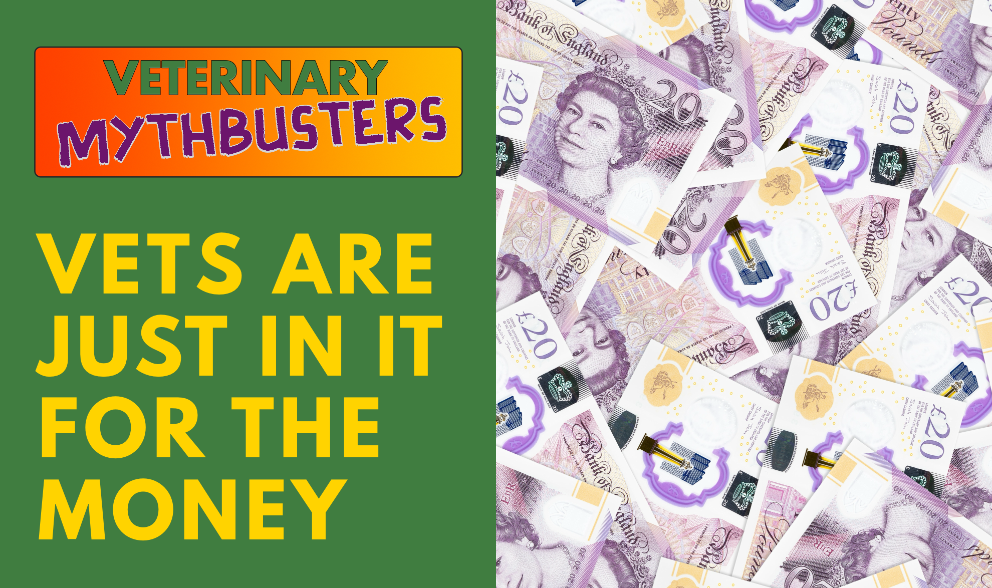 Vets are just in it for the money
