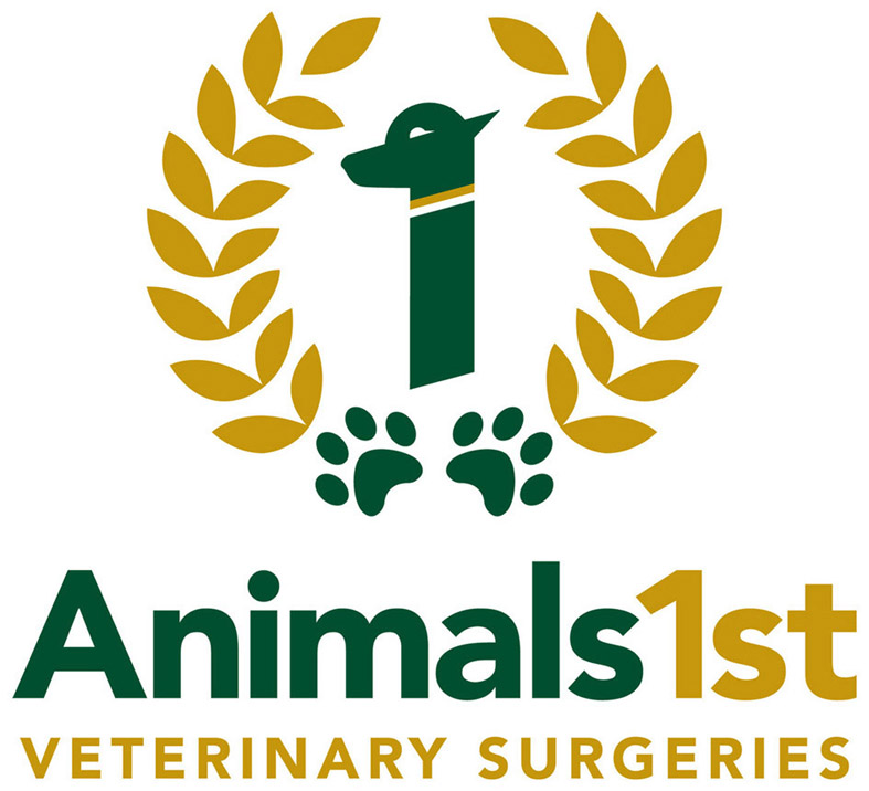 Job Small Animal Vet Edinburgh Animals 1st