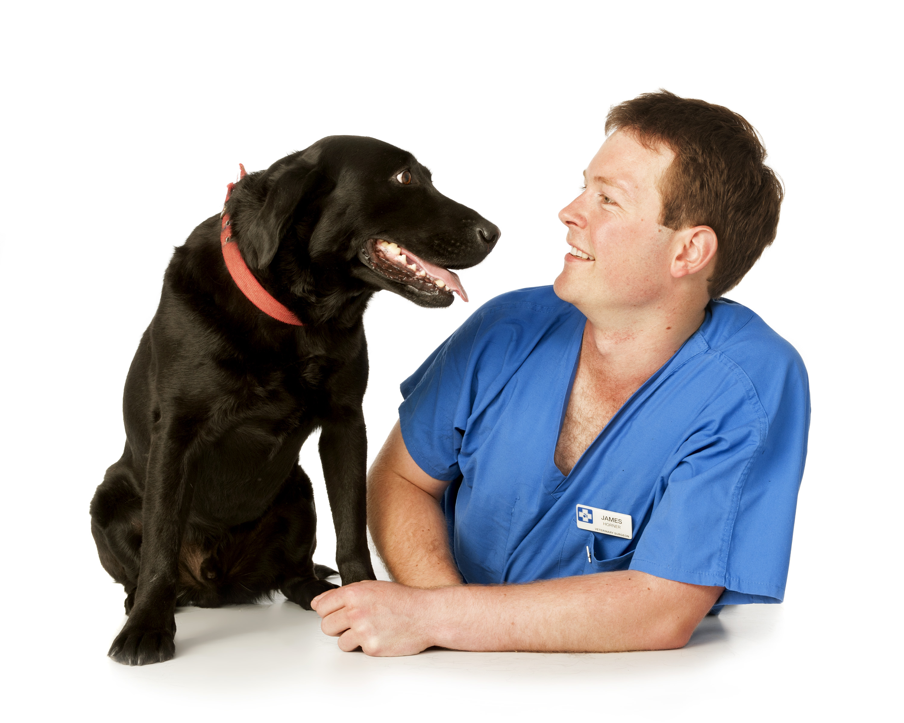 Job Small Animal Vet Worsley White Cross Vets