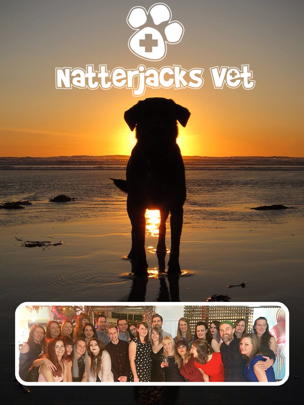 Job Small Animal Vet Poole Natterjacks Vet