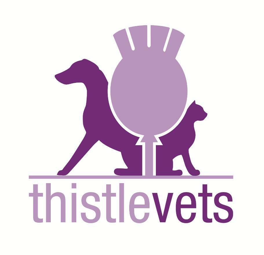 Job Small Animal Vet Edinburgh Thistle Vets