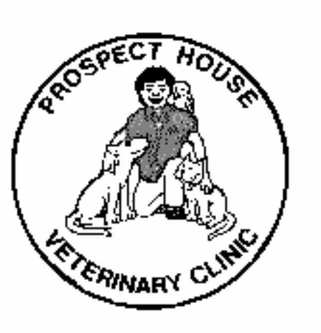 Job Small Animal Vet Conwy Prospect House Veterinary Clinic