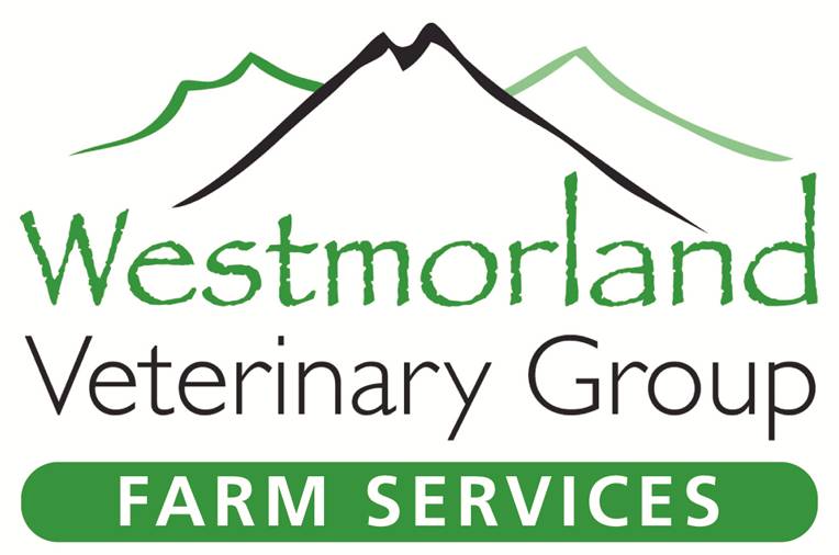 Job Farm Animal Vet Cumbria Westmorland Veterinary Group