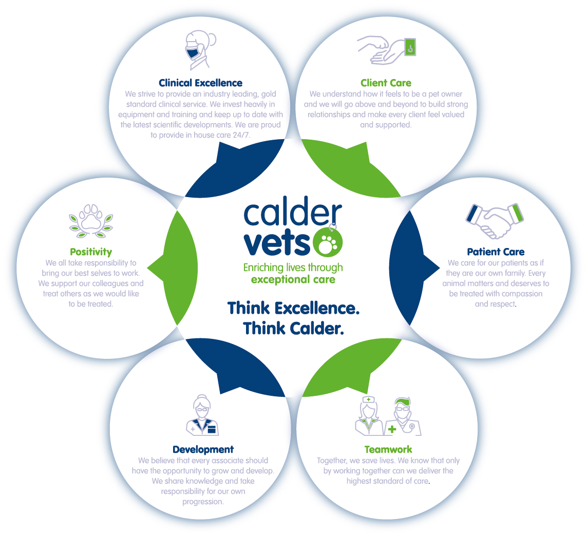 Job: Small Animal Vet West Yorkshire Calder Vets Ltd - VetSurgeon.org