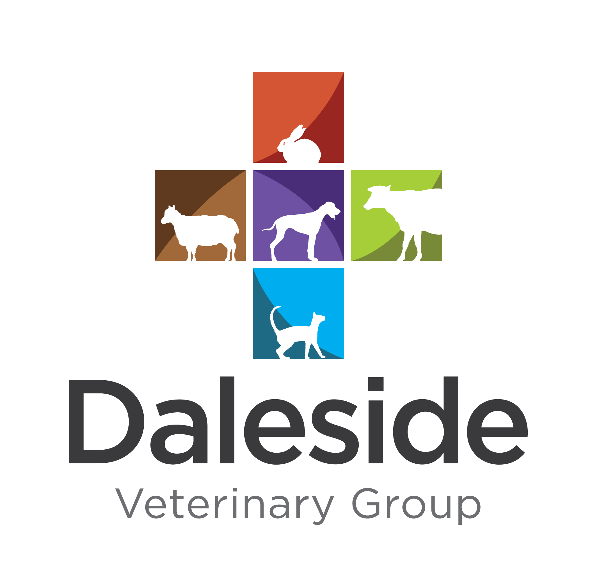 Job Farm Animal Vet Wrexham Daleside Veterinary Group