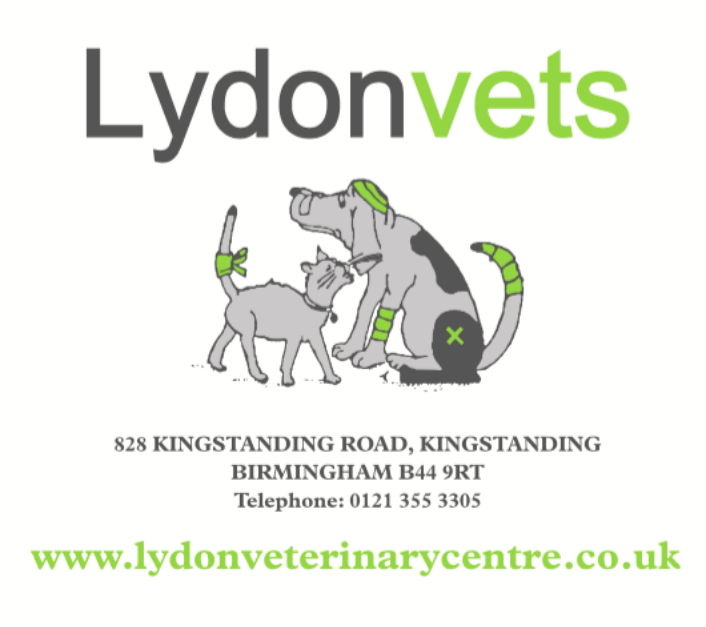 Job Small Animal Vet Birmingham Lydon Vets