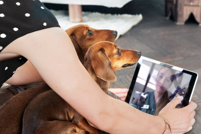 FirstVet partners with two more insurers to provide online veterinary consultations - VetSurgeon News - VetSurgeon FirstVet partners with two more insurers to provide online veterinary consultations - VetSurgeon News - VetSurgeon