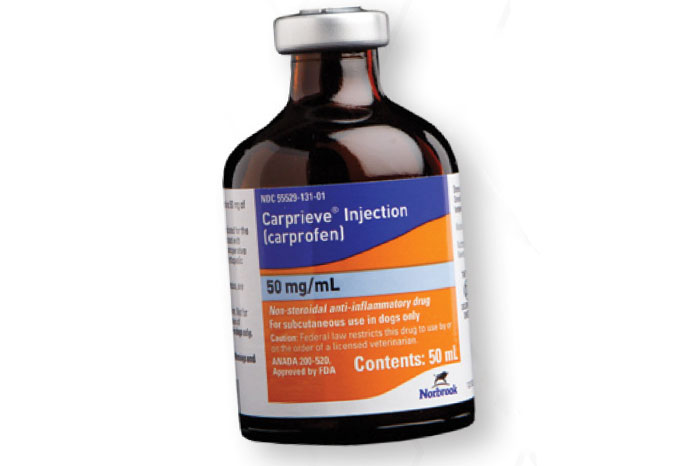 carprieve carprofen