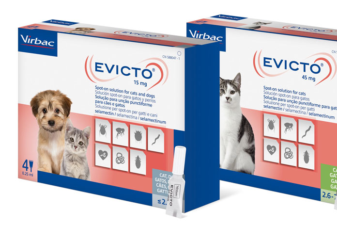 Virbac launches selamectin parasiticide for cats and dogs - VetSurgeon ...