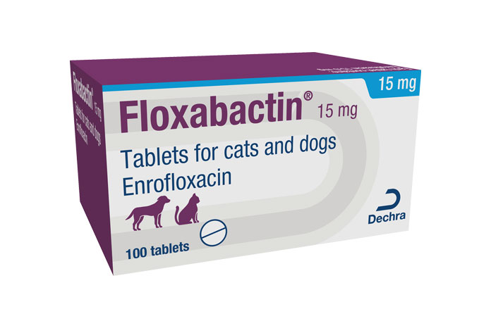 Dechra launches new antibiotic product for cats and dogs VetSurgeon