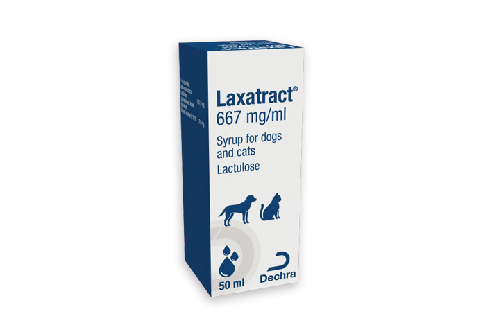 UK’s first veterinarylicensed lactulose oral syrup VetSurgeon News