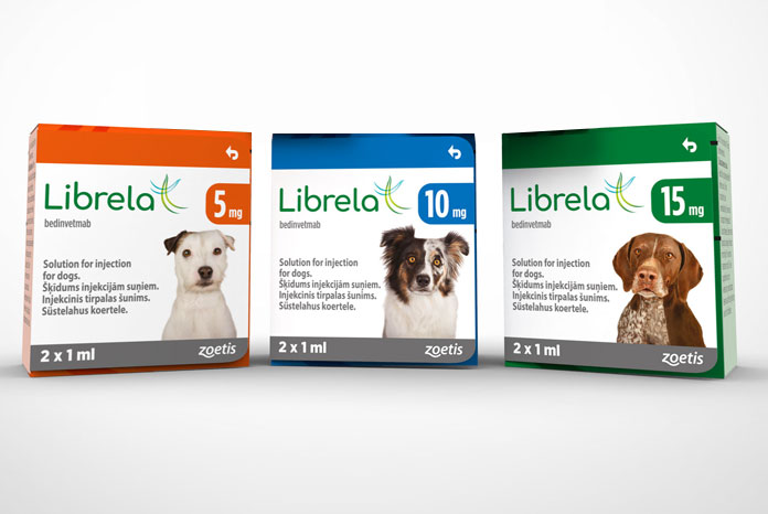 New treatments for osteoarthritis pain in dogs and cats | Veterinary ...
