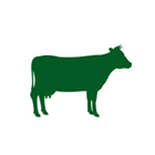 Farm Animal