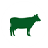 Farm Animal