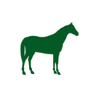 Equine