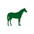 Equine