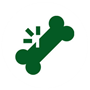 Orthopaedics
