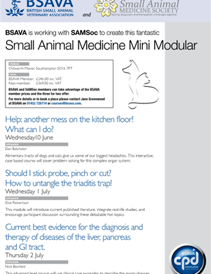 Small Animal Medicine Society - Small Animal Medicine Society -  