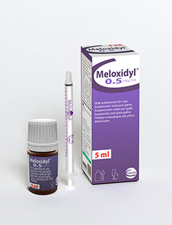 meloxidyl for cats dosage