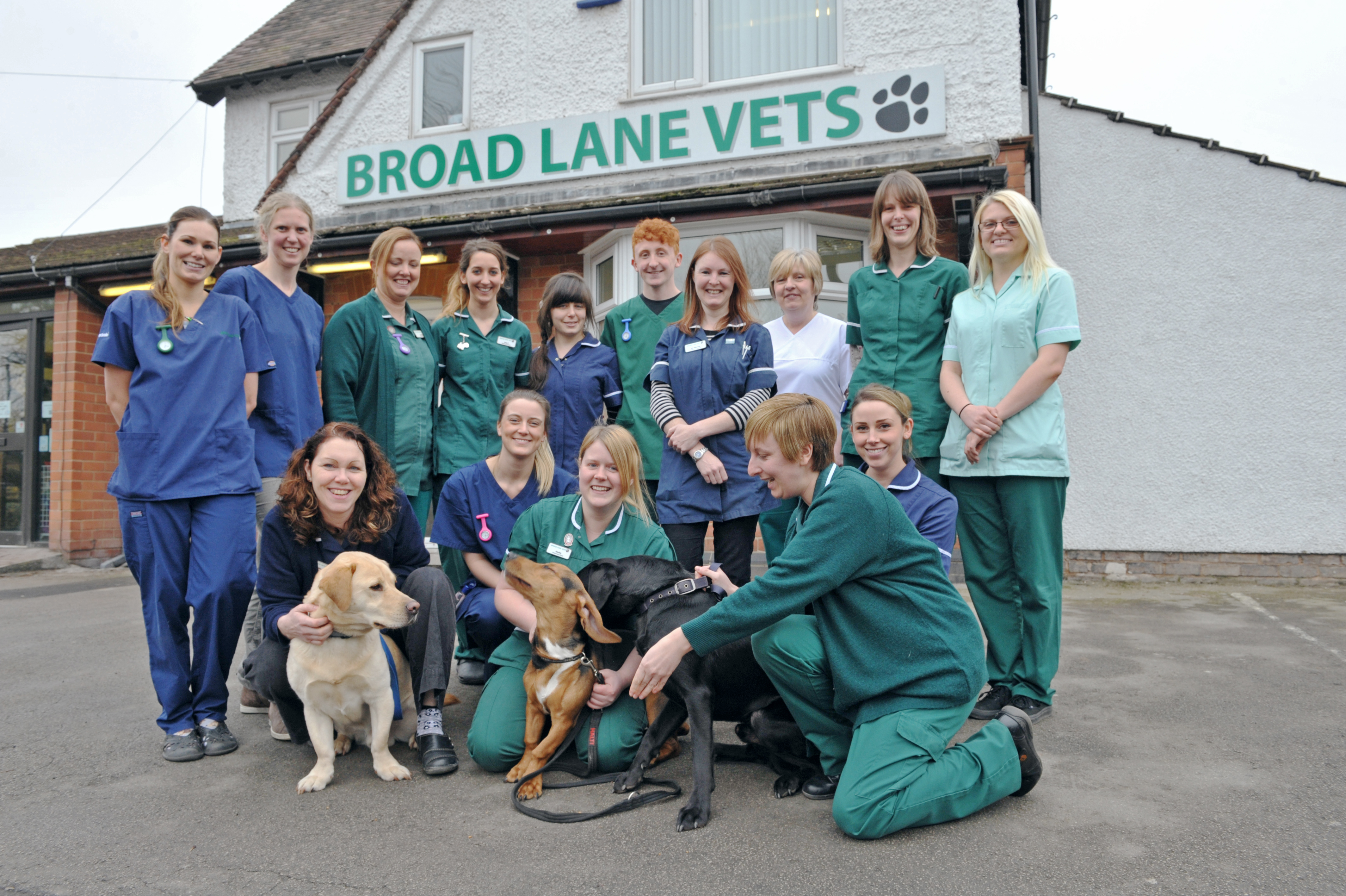 Job Small Animal Vet Coventry Broad Lane Vets Jobs