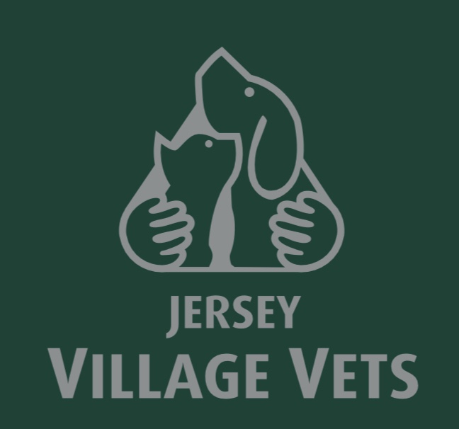 Job Small Animal Vet. Jersey Village Vets Ltd, Jersey Jobs