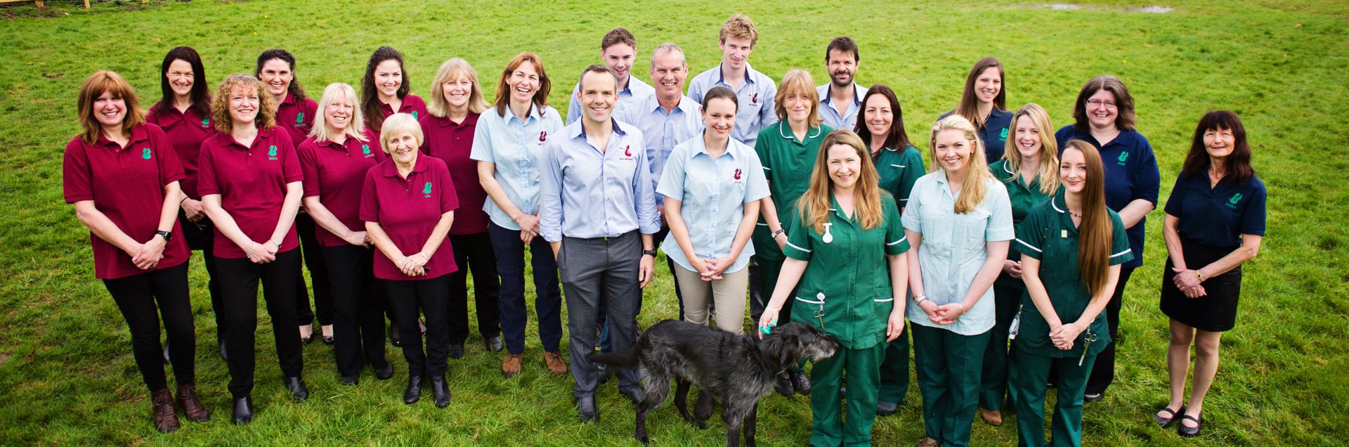 Job Small Animal Vet. Dragon Vets, Cheltenham Jobs