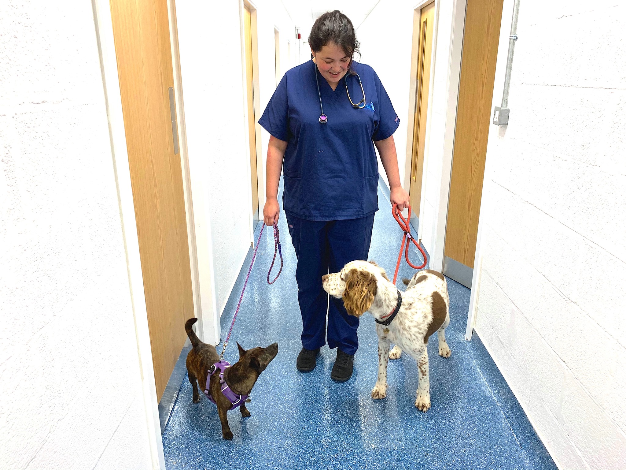 Job Small Animal Vet. Animal Trust CIC , West Yorkshire Jobs