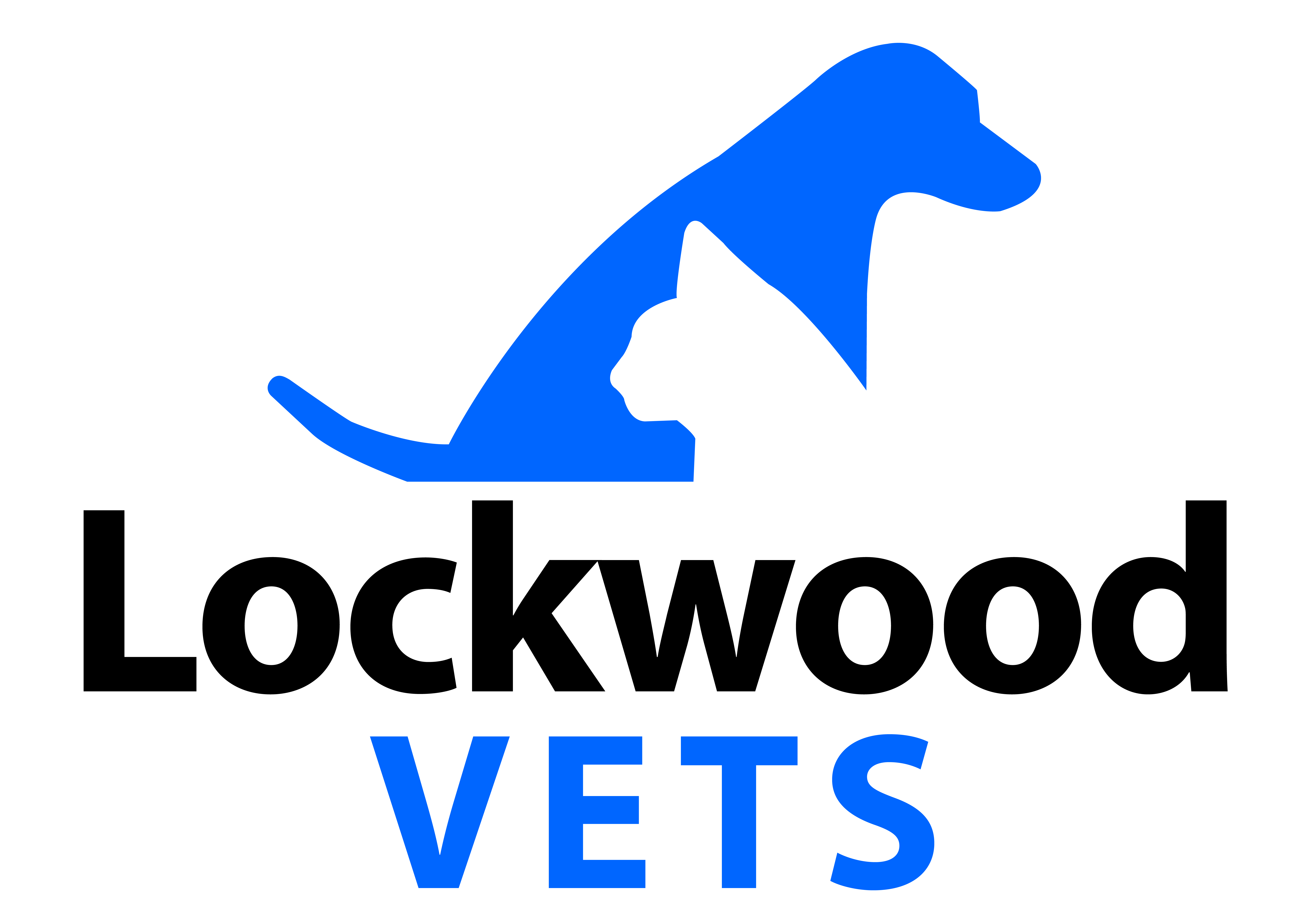 Job Experienced Vet Surgeon. Lockwood Animal Hospital, West Midlands