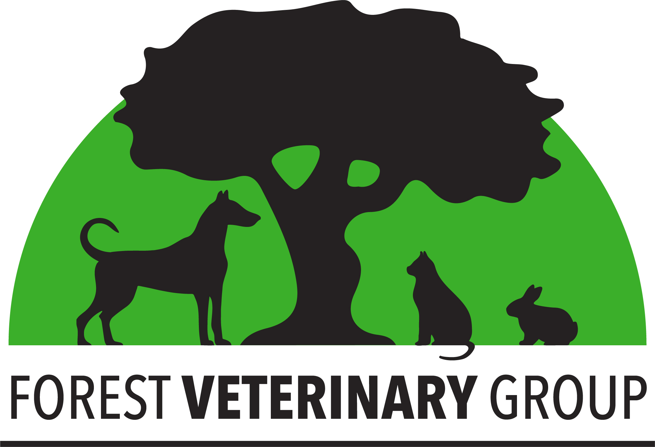 Job Small Animal Vet. Forest Veterinary Group, Neath Jobs