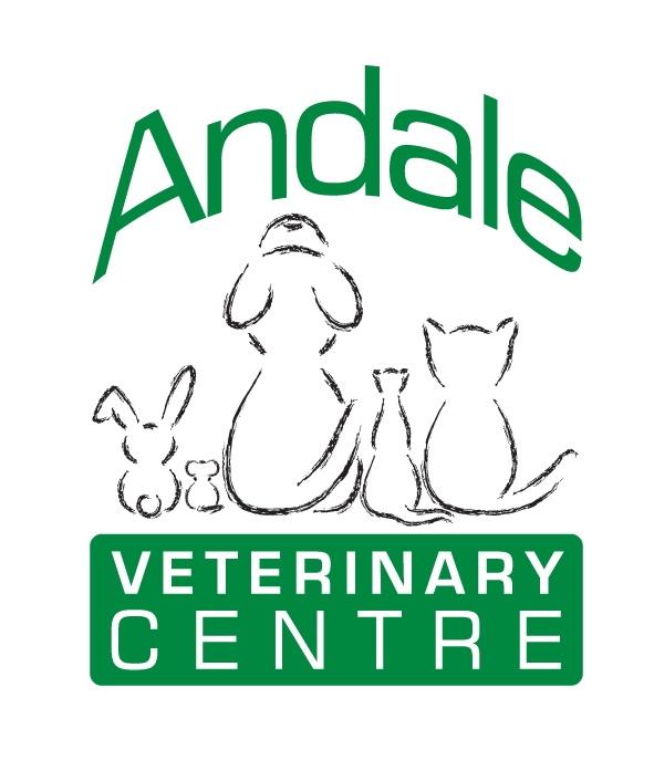 Job Experienced Vet Surgeon. Andale Veterinary Centre, Borough of Halton Jobs VetSurgeon