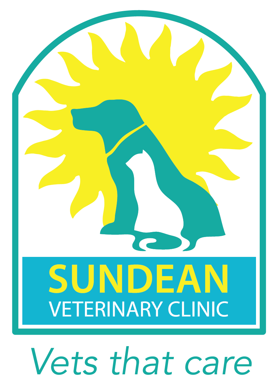 Job Small Animal Vet. Sundean Veterinary Group, Gloucestershire Jobs