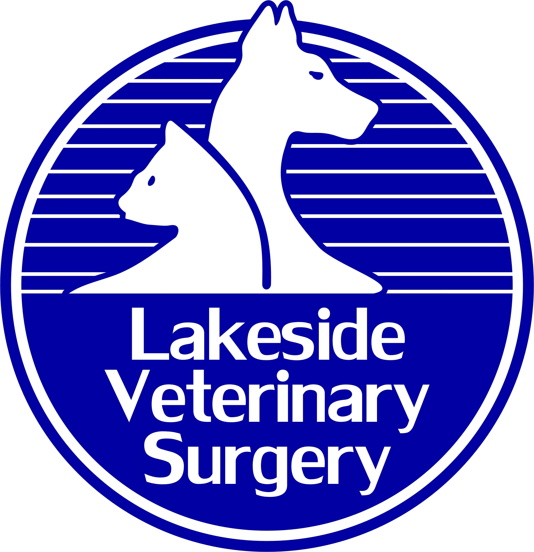 Job Small Animal Vet. Lakeside Veterinary Surgery, Swansea Jobs