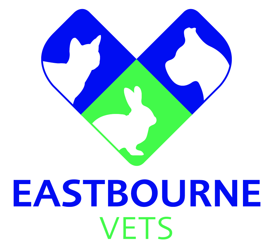Job Small Animal Vet. Eastbourne Vets, Seaside, Eastbourne Jobs