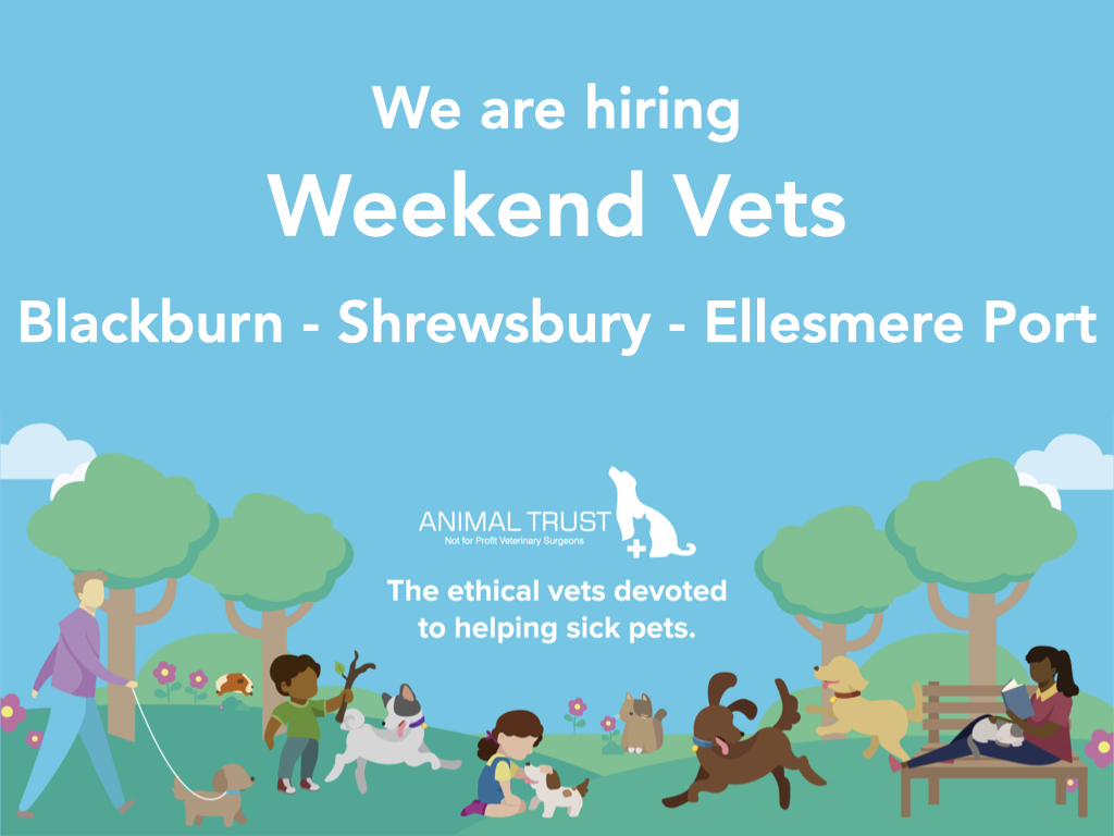 Job Small Animal Vet. Animal Trust , Blackburn with Darwen Jobs