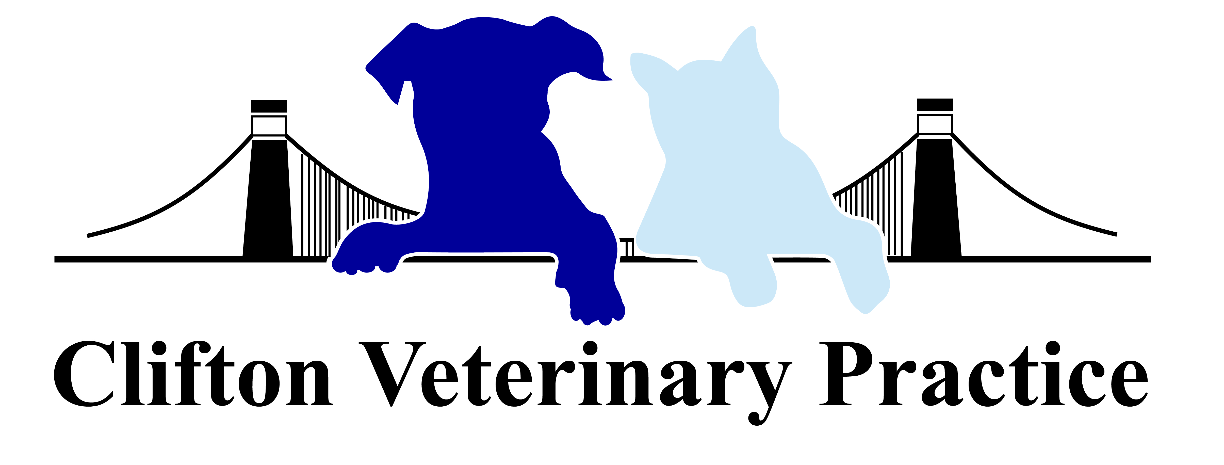 Job Small Animal Vet. Clifton Veterinary Practice, Bristol City Jobs
