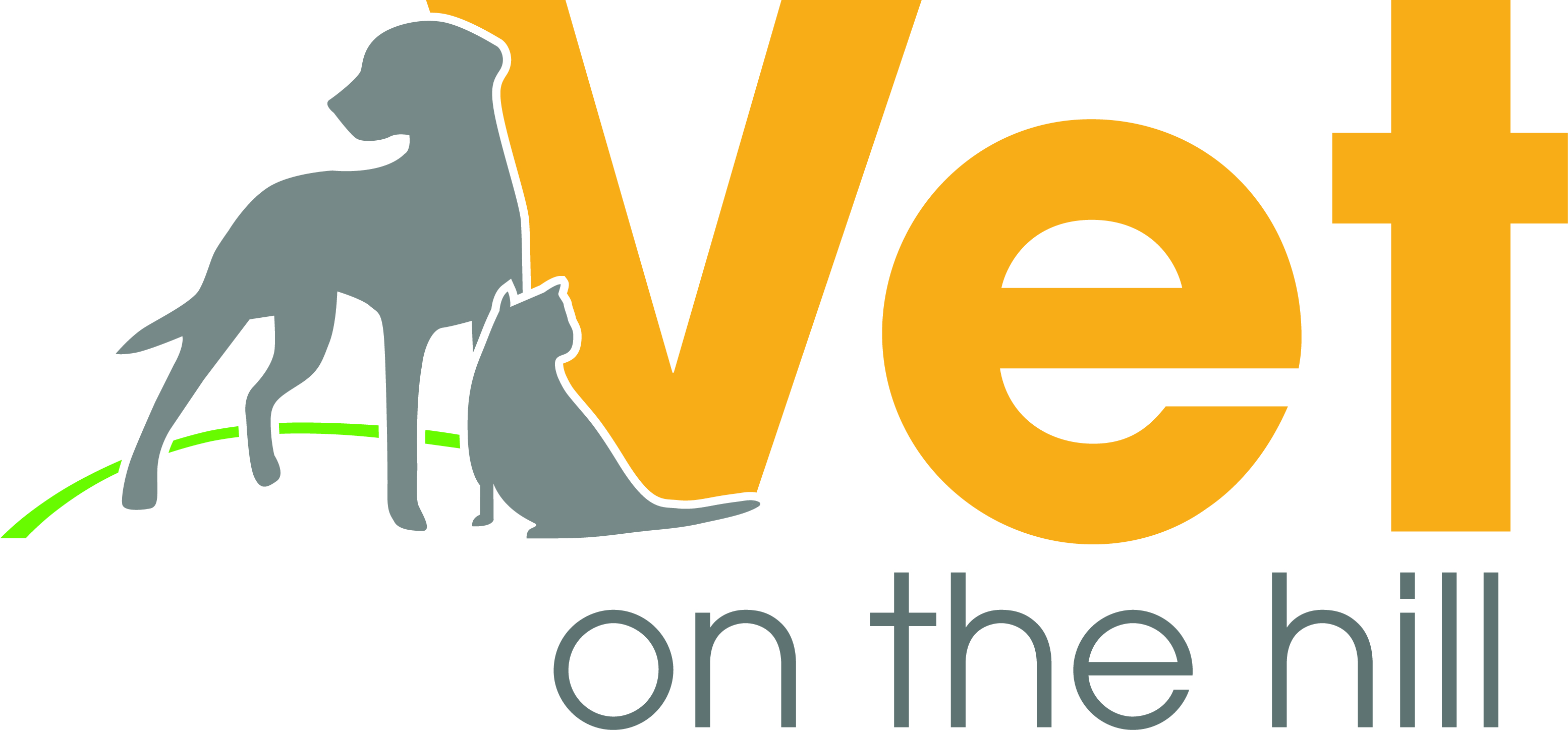 Job Small Animal Vet. Vet On The Hill, Caterham Jobs VetSurgeon