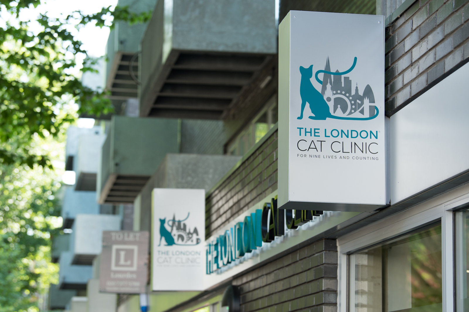 Job Small Animal Vet. The London Cat Clinic, London Jobs