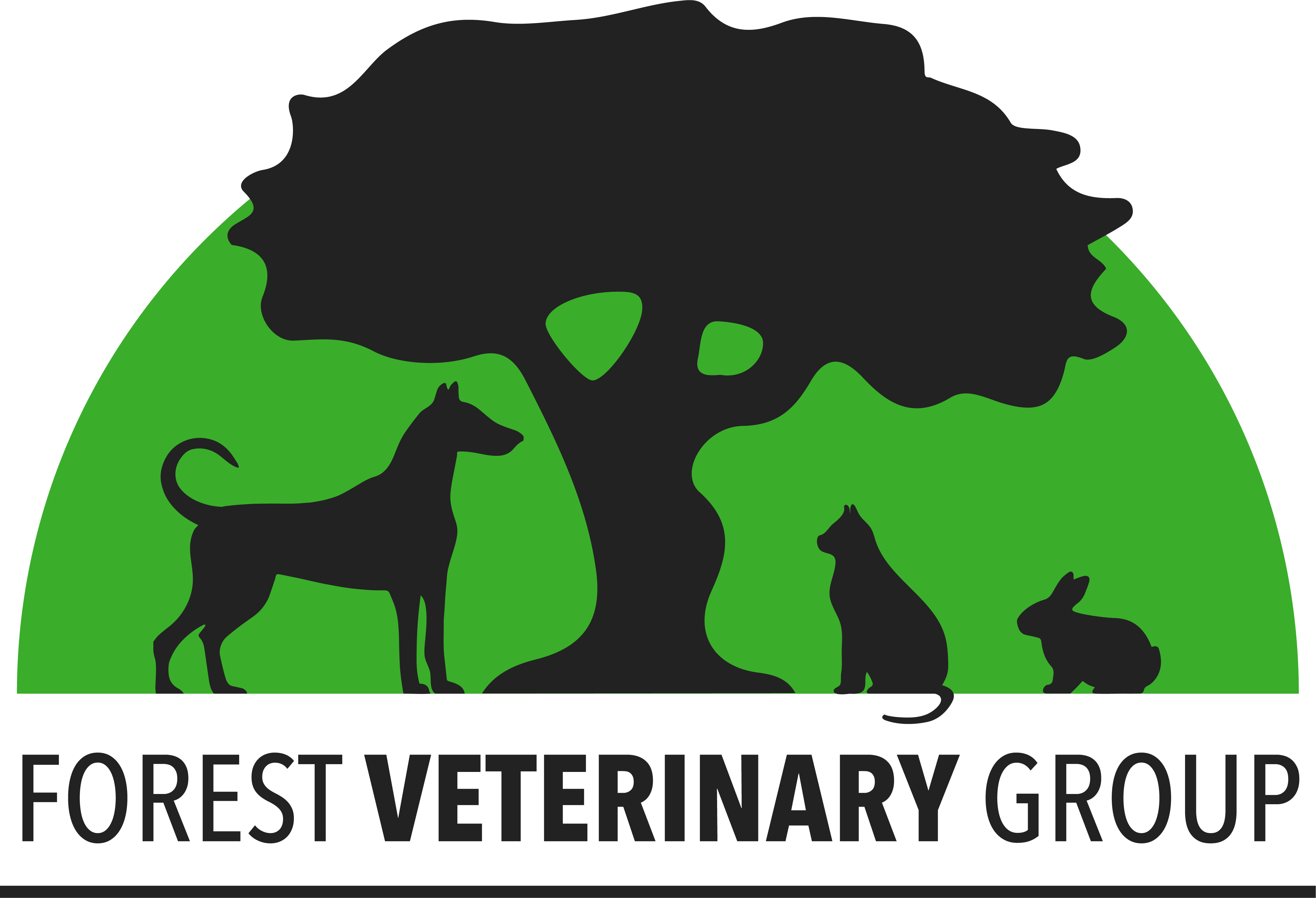 Job Small Animal Vet. Forest Veterinary Group, Neath Jobs