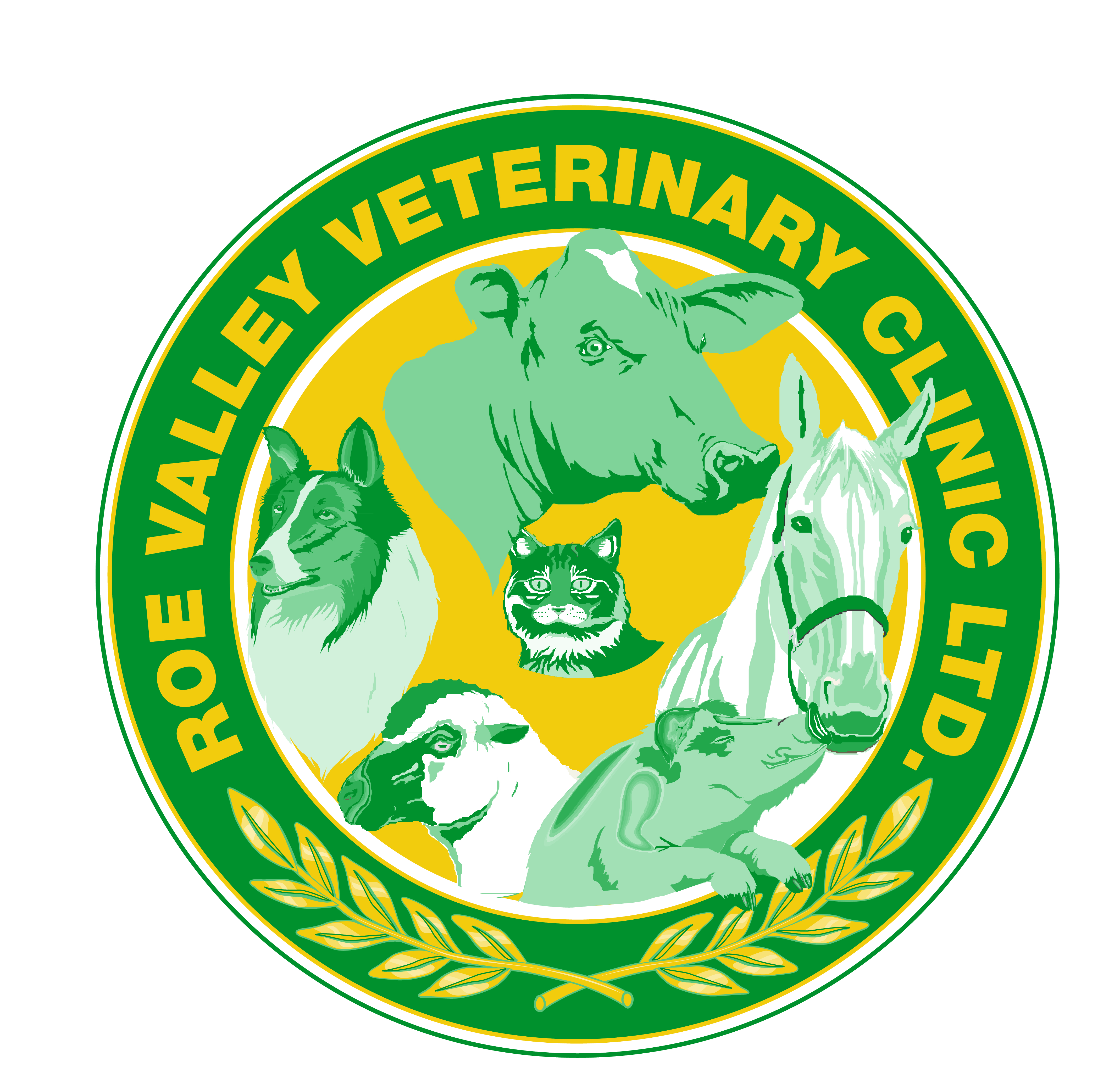 Job Mixed Animal Vet. Roe Valley Veterinary Clinic, Causeway Coast and