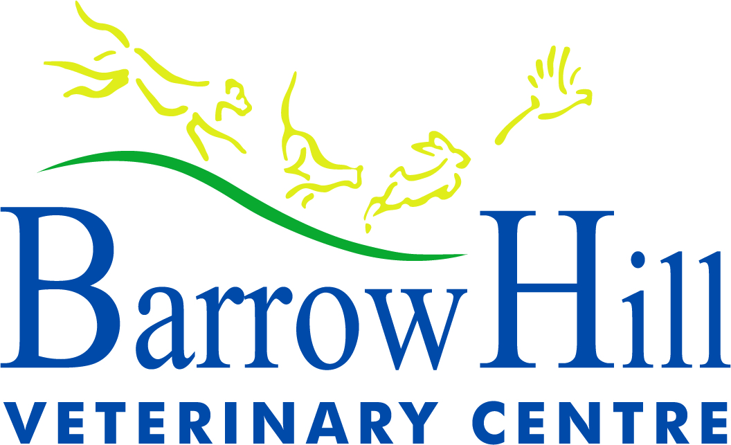 Job Small Animal Vet. Barrow Hill Veterinary Hospital, Kent Jobs