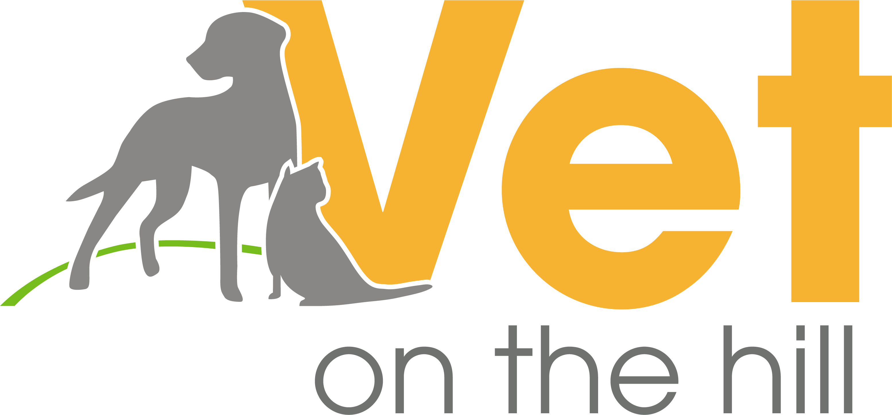 Job Vet Surgeon (Saturdays). Vet On The Hill, Caterham Jobs