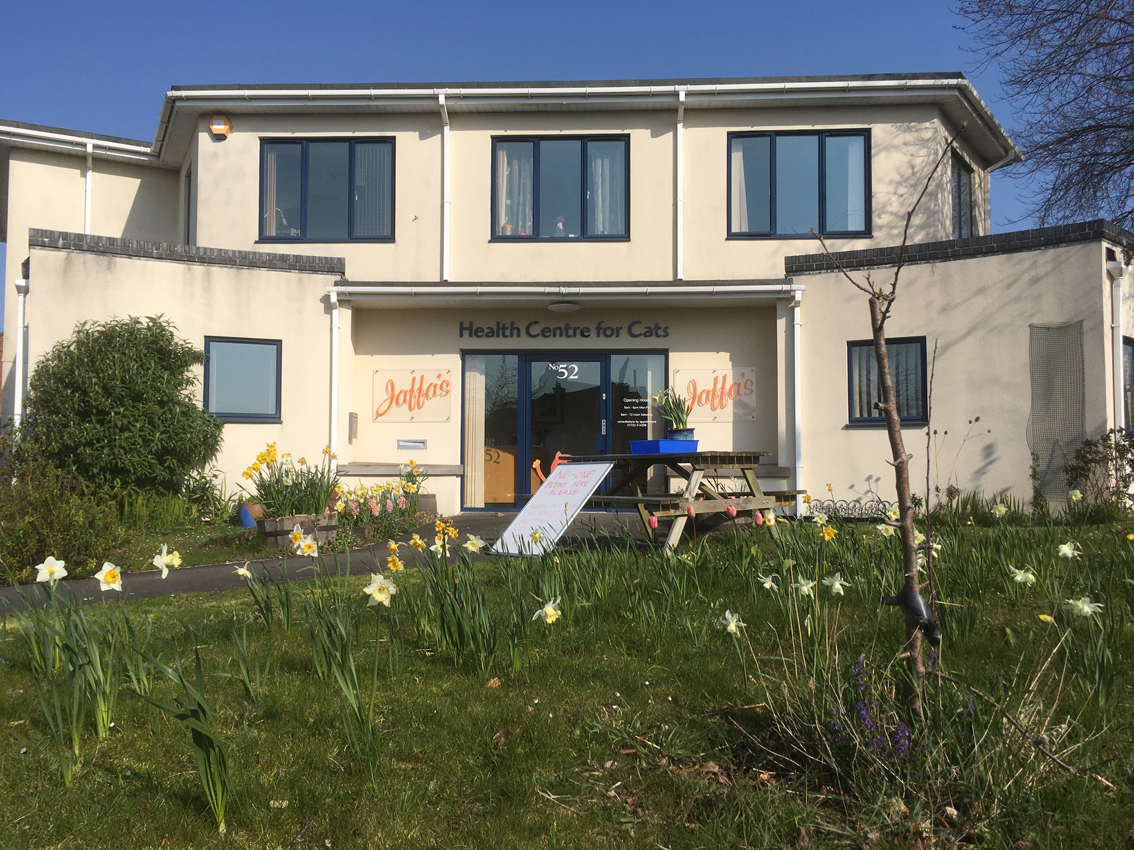 Job Small Animal Vet. jaffa's health centre for cats, Salisbury Jobs