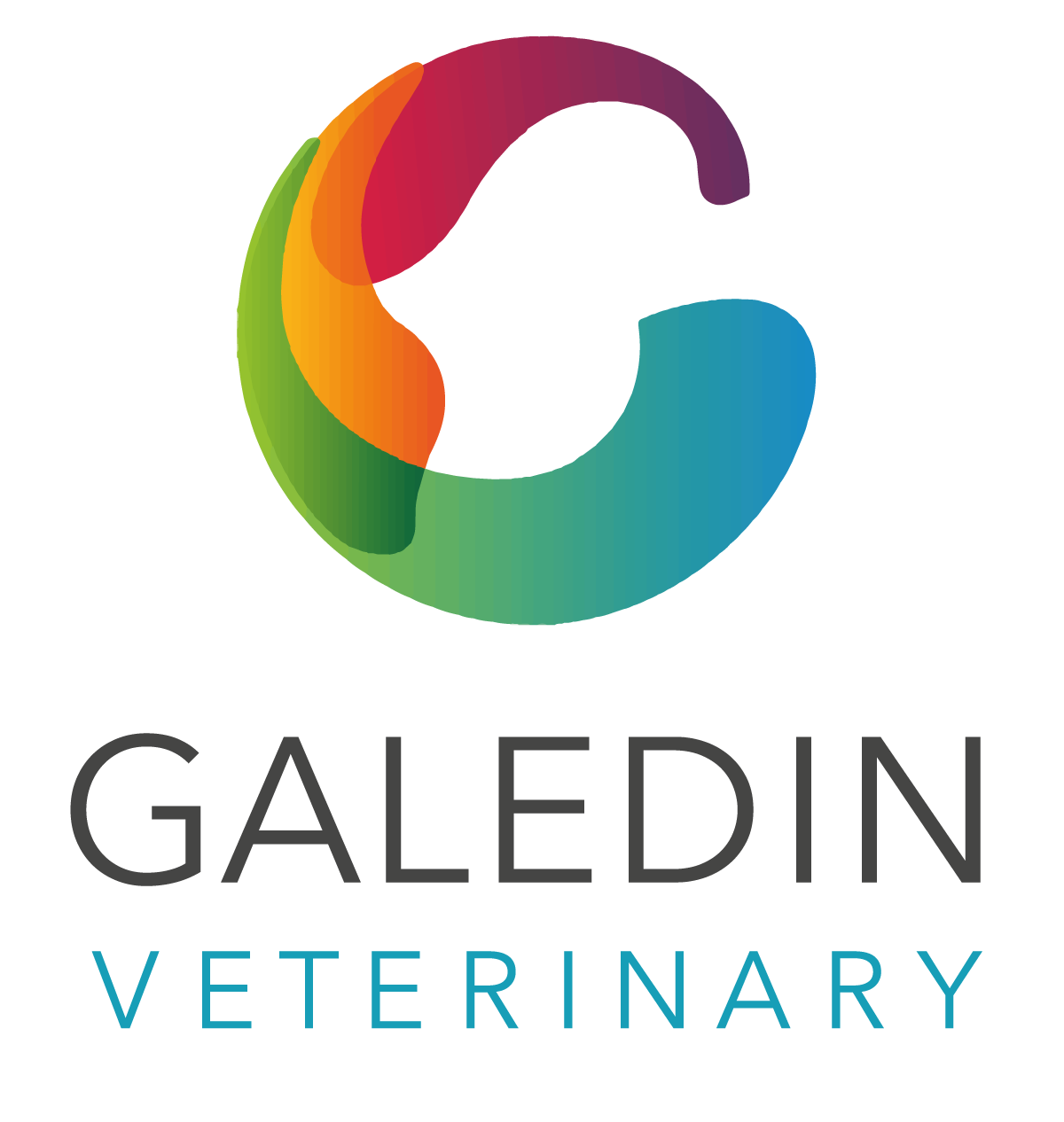 Job Equine Vet. Galedin Veterinary, Scottish Borders Jobs