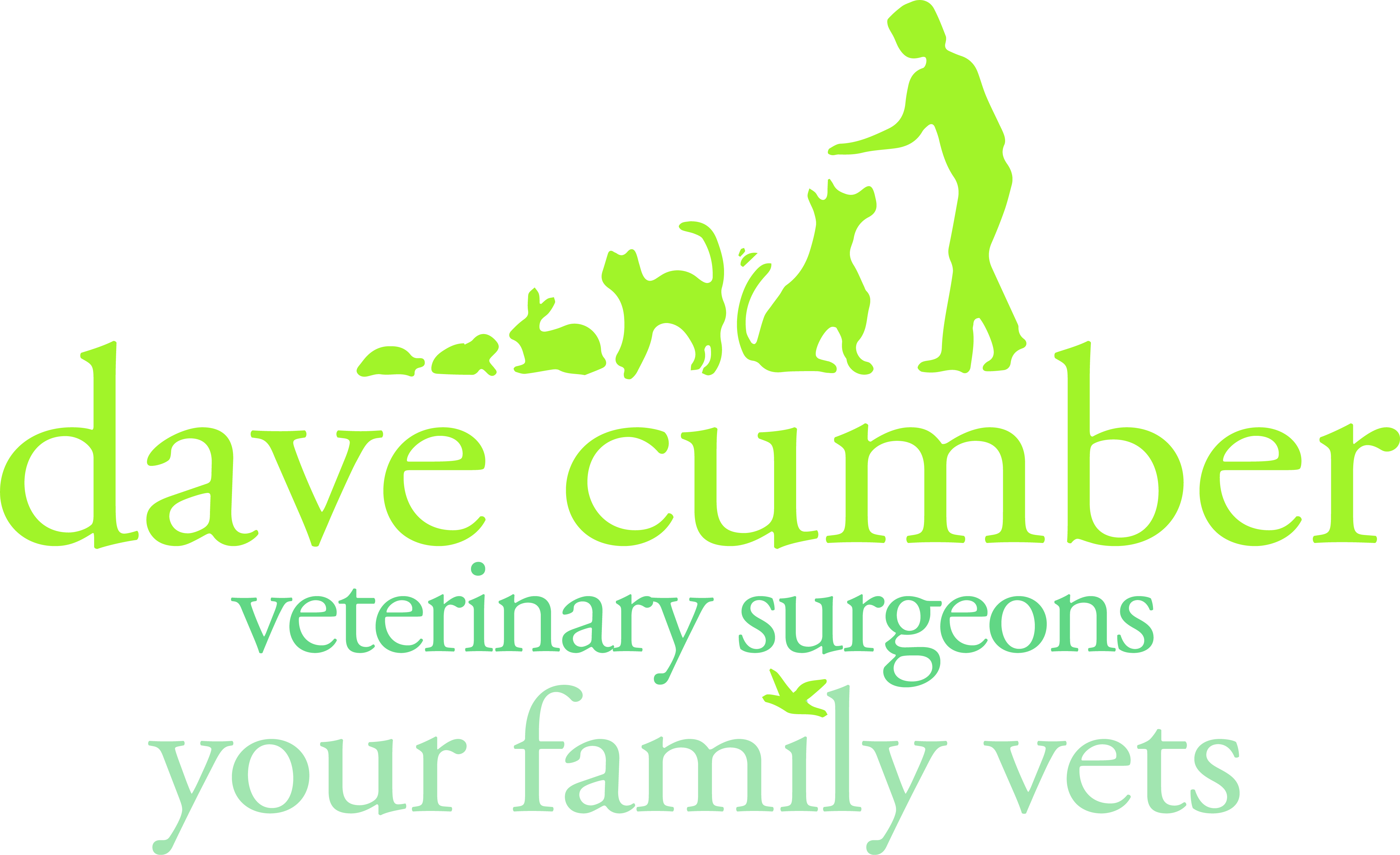 Job Small Animal Vet. Dave Cumber Vets, Weymouth Jobs VetSurgeon